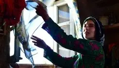 اکران آنلاین «اتاقک گلی» از فیلم نت آغاز می‌شود
