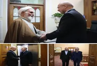 نشست روسای سابق و فعلی مجلس در بهارستان برگزار شد 