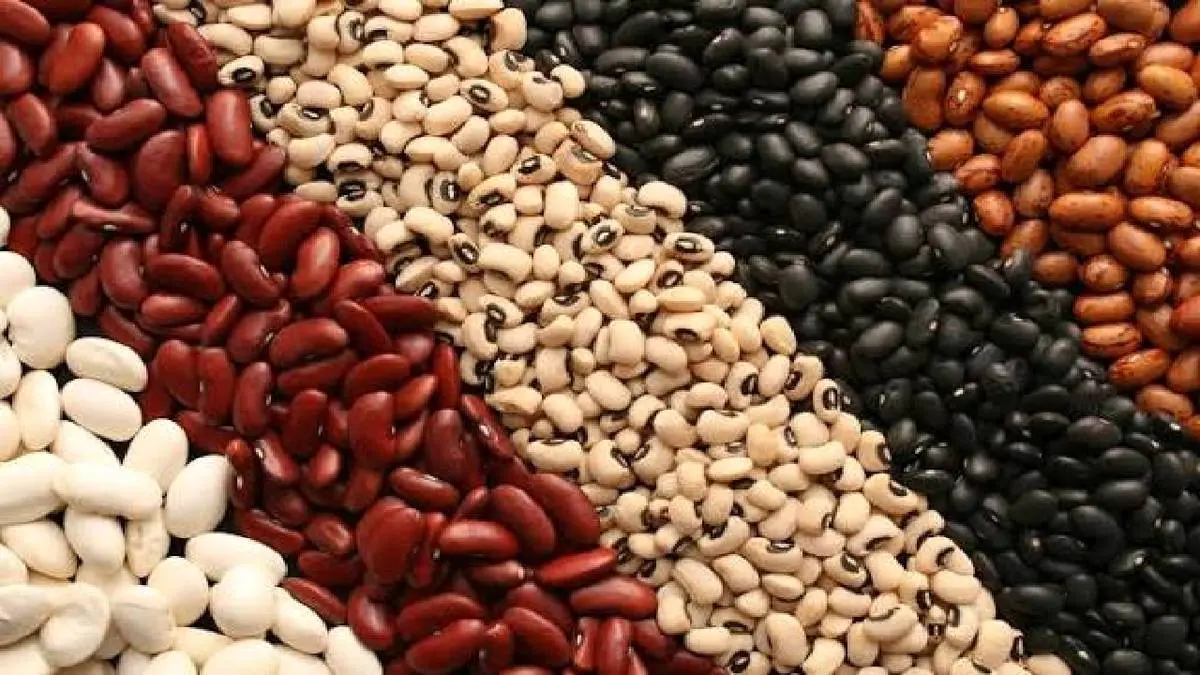 ثبت سفارش حبوبات سهمیه فصل پاییز از ۲۹ شهریور