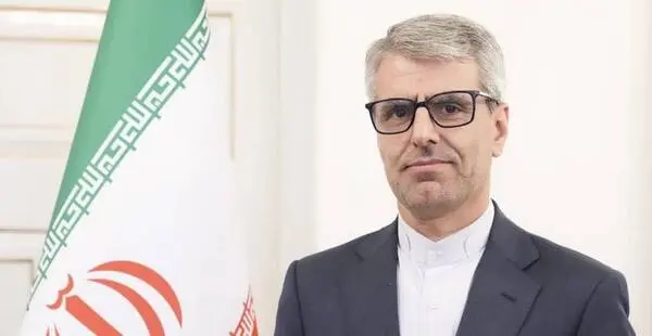 بقائی: آماده کمک به افغانستان هستیم