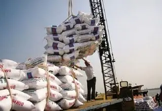لغو ممنوعیت ترخیص برنج در ایام برداشت