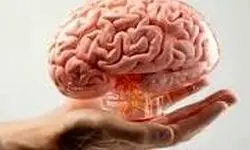 یک توصیه برای جوان نگه داشتن مغز