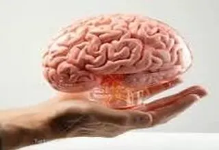 یک توصیه برای جوان نگه داشتن مغز
