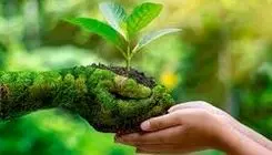 هشدارهایی که شنیده نمی‌شوند