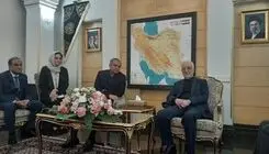 وزیر کشور پاکستان وارد تهران شد 