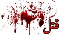 جزئیات ۲ پرونده قتل در دشتستان