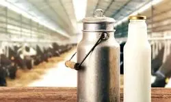 قیمت لبنیات به اوج رسید | تب برفکی و گرانی شیر خام بازار را قفل کرد