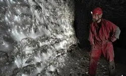 ۱۱۱ هزار عنکبوت در یک خانه! 