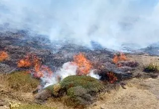 مهار آتش‌سوزی میانکاله و پارک ملی کیاسر