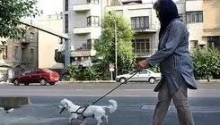 مناقشه تازه بر سر داشتن حیوان خانگی
