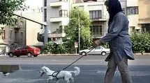 مناقشه تازه بر سر داشتن حیوان خانگی