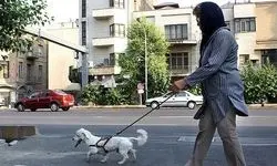 مناقشه تازه بر سر داشتن حیوان خانگی