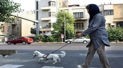 مناقشه تازه بر سر داشتن حیوان خانگی