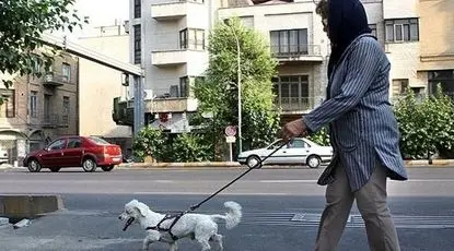 مناقشه تازه بر سر داشتن حیوان خانگی
