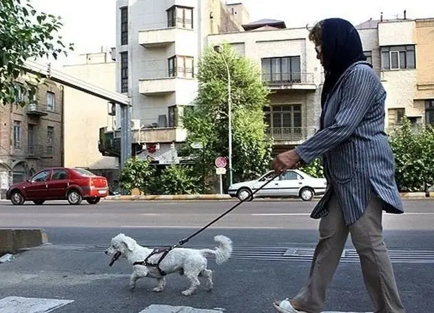 مناقشه تازه بر سر داشتن حیوان خانگی