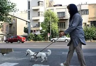 مناقشه تازه بر سر داشتن حیوان خانگی