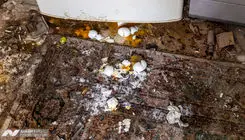 خسارت‌دیدگان اوین در کابوس بلاتکلیفی