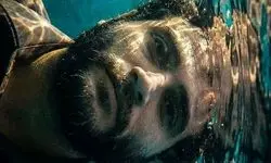 شکیب شجره و آرمان درویش در قاب‌های رسمی