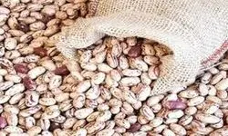 قیمت جدید لوبیا چیتی مشخص شد