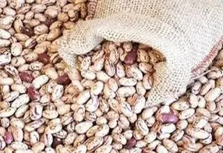 قیمت جدید لوبیا چیتی مشخص شد