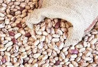 قیمت جدید لوبیا چیتی مشخص شد