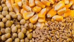 هیچ مشکل و کمبودی در زمینه توزیع نهاد‌های دامی نداریم