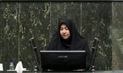 مقصودی:با کمال تعجب رانندگان ماشین سنگین جزو مشاغل تفریحی دسته‌بندی می‌شوند
