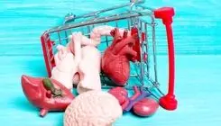 از خلیج فارس تا تهران قربانی پیج فروش اعضای بدن شدند