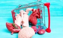 از خلیج فارس تا تهران قربانی پیج فروش اعضای بدن شدند