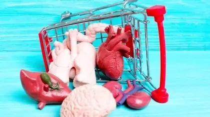 از خلیج فارس تا تهران قربانی پیج فروش اعضای بدن شدند