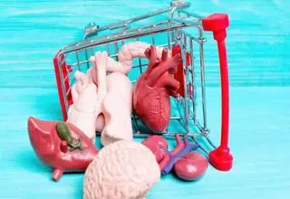 از خلیج فارس تا تهران قربانی پیج فروش اعضای بدن شدند