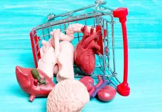 از خلیج فارس تا تهران قربانی پیج فروش اعضای بدن شدند