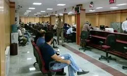  ورود سرزده این حیوان به داخل بانک!