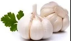 خواص خوردن سیر
