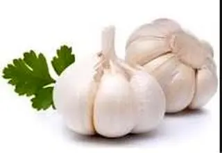 خواص خوردن سیر
