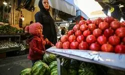 نظارت مستمر بر بازار در ایام پایانی فصل پاییز و آستانه شب یلدا 