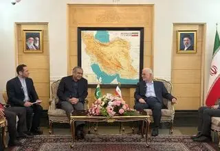رایزنی وزیر کشور پاکستان در ایران درباره تلاش‌ها در زمینه پیشبرد فرآیند صلح