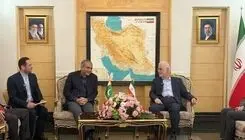 رایزنی وزیر کشور پاکستان در ایران درباره تلاش‌ها در زمینه پیشبرد فرآیند صلح
