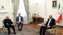 تأکید بر عزم جدی جمهوری اسلامی برای ایجاد هم‌افزایی کشورهای اسلامی در حمایت از مردم فلسطین 