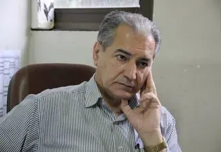 خصوصی‌سازی در گرو اصلاح ساختار نظام تصمیم‌گیری/ توسعه بخش خصوصی در اختیار وزیر اقتصاد نیست