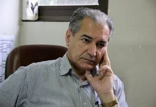 خصوصی‌سازی در گرو اصلاح ساختار نظام تصمیم‌گیری/ توسعه بخش خصوصی در اختیار وزیر اقتصاد نیست