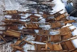 ۱۷۰ تله غیرمجاز شکار کبک در قزوین امحا شد