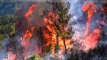 آتش‌سوزی در منطقه حفاظت‌شده «خائیز» بهبهان