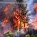 آتش‌سوزی در منطقه حفاظت‌شده «خائیز» بهبهان