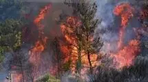 آتش‌سوزی در منطقه حفاظت‌شده «خائیز» بهبهان