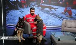 پشت پرده توهین به دایی؛ مسئله فقط سگ هلال‌احمر نبود!