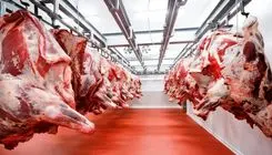  تنظیم بازار عجیب قیمت گوشت!