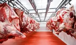  تنظیم بازار عجیب قیمت گوشت!