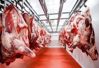  تنظیم بازار عجیب قیمت گوشت!