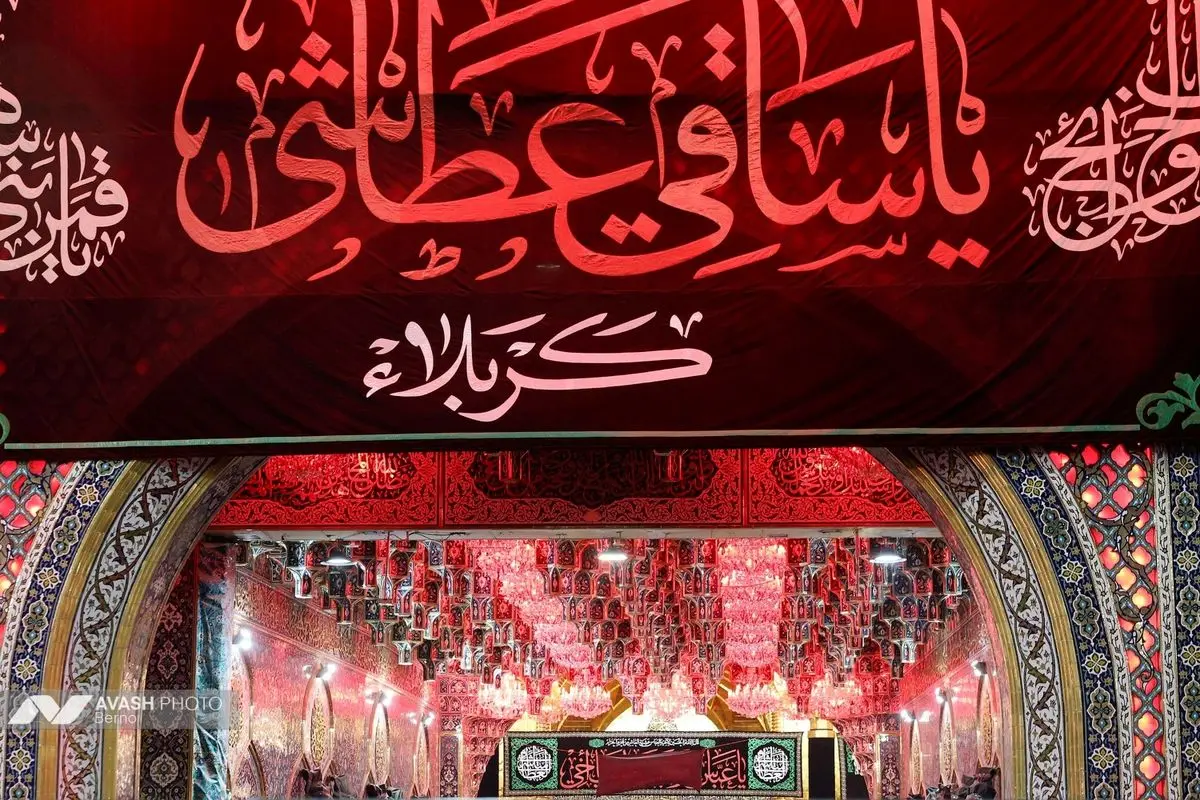 زائران اربعین در مسیر نجف به کربلا